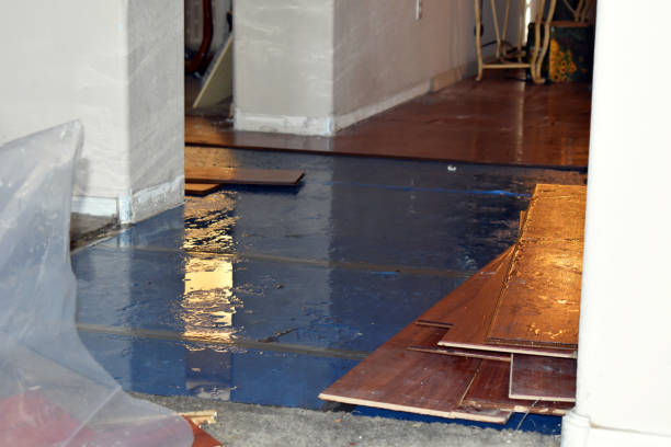Professional Sewage Cleanup technician working in Larchmont, NY